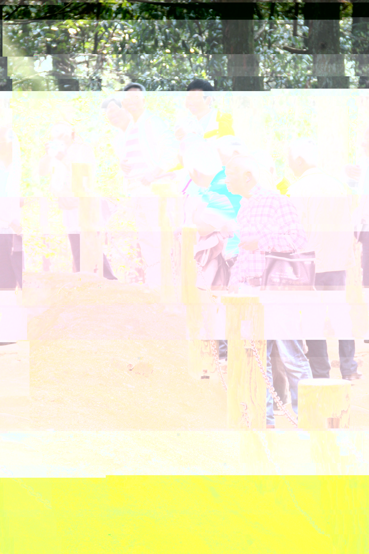 20170407123.jpg
